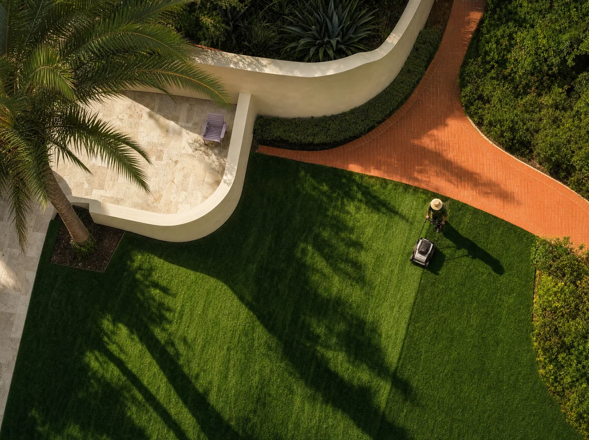 Original overhead lawn-care concept with precise lawn stripes and palm shadows